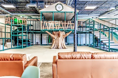 The Treehouse Play Cafe